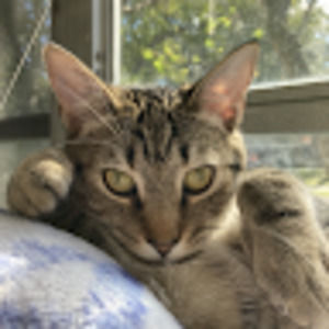 Meet your Posher, Brian